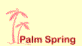 Palm Spring - International Import and Export Lda